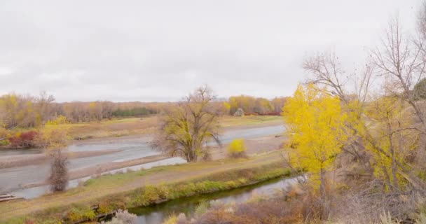 Φθινόπωρο Χρώματα Κατά Μήκος Του Ποταμού Φίδι Γραφική Και Όμορφη — Αρχείο Βίντεο