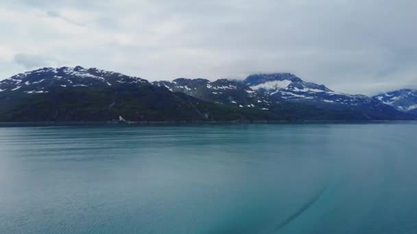 Möwe Fliegt Über Ruhigem Wasser Des Glacier Bay National Park — Stockvideo