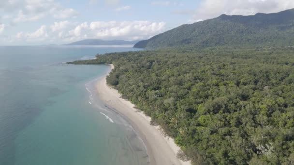 Wald Meer Mit Üppigen Bäumen Myall Beach Cape Tribulation Queensland — Stockvideo