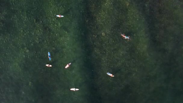 Aérea Arriba Abajo Surfistas Esperando Olas Una Bahía Rocosa Poco — Vídeo de stock