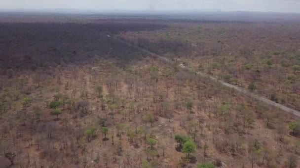 Stigande Antenn Raka Motorvägen Skär Genom Öppen Bushveld Zimbabwe — Stockvideo