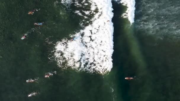 Top Antenne Van Surfers Die Witte Golven Proberen Vangen Sayulita — Stockvideo