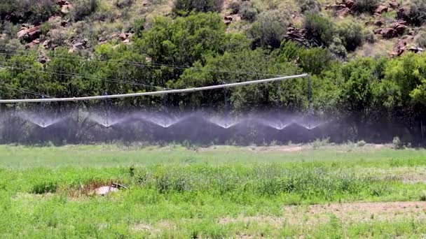 Ponto Articulação Irrigação Agrícola 30Fps — Vídeo de Stock