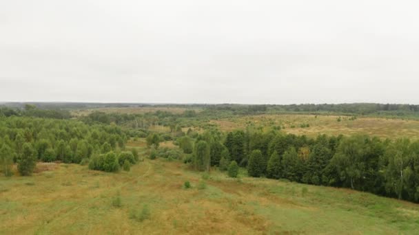 Volando Por Encima Los Campos Pantanosos Salvajes Bosques Día Humor — Vídeos de Stock