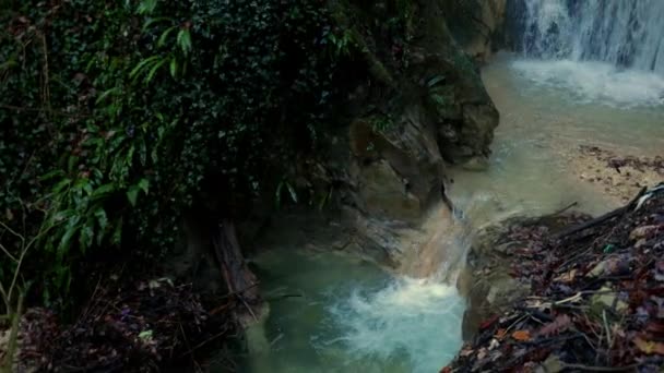Relajante Arroyo Montaña Con Hojas Verdes Aguas Azules Cascada Reveladora — Vídeo de stock