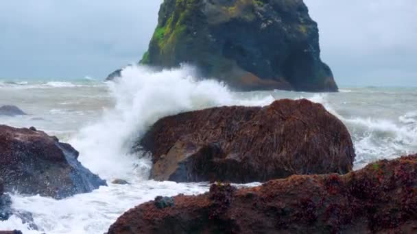 アイスランドのレイニスフィヤラ黒砂のビーチの野生の波 — ストック動画