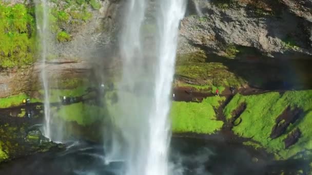 Expouring Córrego Cachoeira Seljalandsfoss Com Passeio Turístico Verão Islândia — Vídeo de Stock