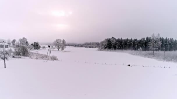 田園自然の中で森とフィールドで覆われた美しい雪の風景 — ストック動画