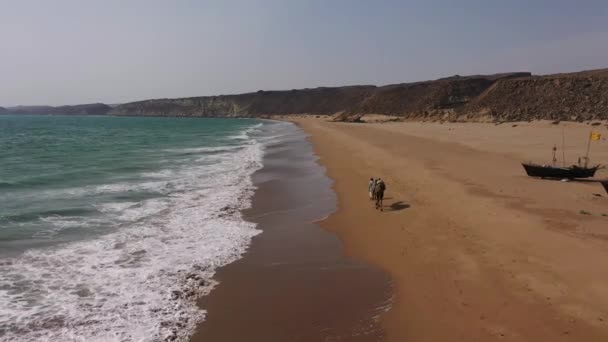 Вид Воздуха Мужскую Прогулку Верблюдом Вдоль Пляжа Волнами Прорывающимися Белуджистане — стоковое видео