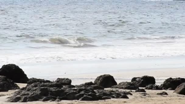 熱い空気がちらつき 黒い岩があるカリブ海のビーチの砂の上を低く振っています コスタリカのカウイタで低波が上陸 — ストック動画