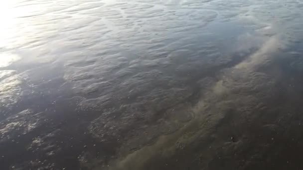 Anglado Movimento Através Praia Revelando Água Distância — Vídeo de Stock