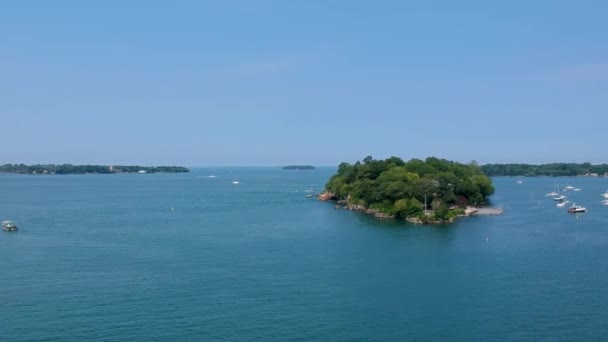 Luftaufnahme Des Eriesees Sommerlandschaft Der Bucht — Stockvideo