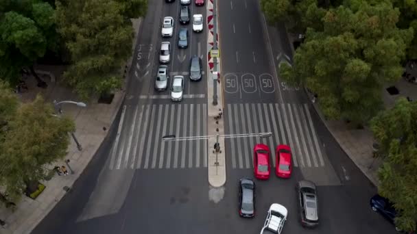 Paseo Reforma Avenue Met Winter Decoratie Van Top Mexico City — Stockvideo