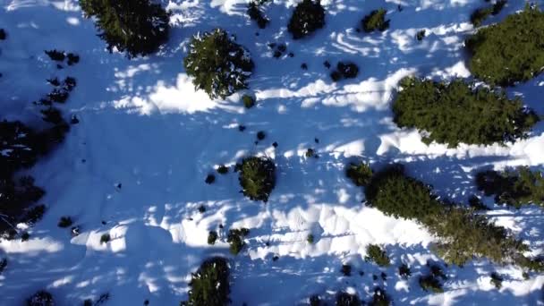 스노이 마운틴 스키를 하늘을 — 비디오