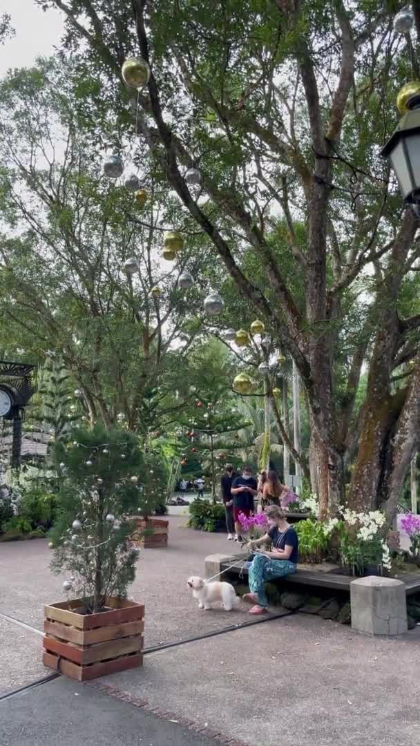 Dikey Video Nsanlar Botanik Bahçesi Singapur Eğleniyor — Stok video