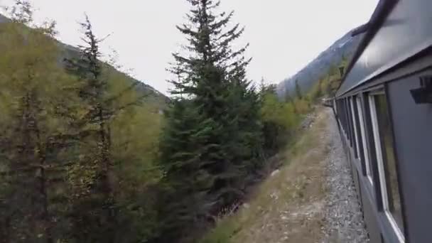 Prohlídka Vlaku Podél Mount Roberts Trail Aljašce Během Oblačného Dne — Stock video