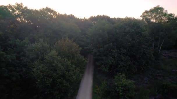 Antenne Steigt Über Leerem Waldweg Auf Goldene Sonnenfackeln Stochern Hindurch — Stockvideo