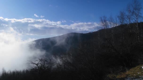 山の谷での霧の圧延 — ストック動画