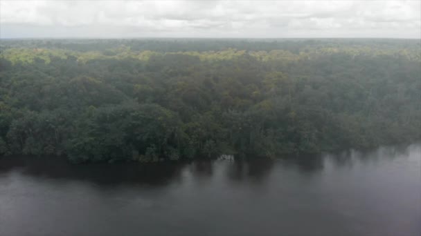 Aerial View Amazon River Jungle Cloudy Day — Stock Video