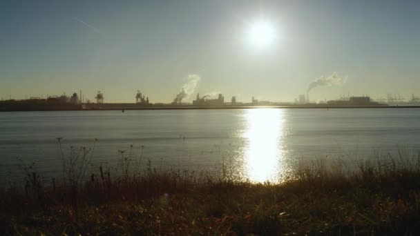 Havsutsikt Rotterdam Nederländerna — Stockvideo