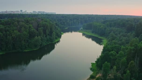 Stigande Över Sommaren Broadleaf Forest Med Slingrande Flod Vid Solnedgången — Stockvideo