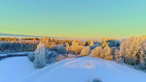 Aerial Drone Forwarding Shot Prístine Snow Covered Landscape Trees Wintry — Vídeos de Stock