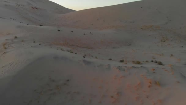 Natureza Dunas Fundo Parte Tarde Deserto Mojave Drone Aérea Tiro — Vídeo de Stock