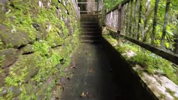 Pov Déplacer Sur Chemin Dans Parc Abandonné Marcher Escalier — Video