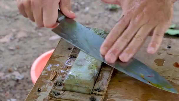 Cuchillo Fileteado Pescado Grande Afilado Una Piedra Afilado Húmedo Para — Vídeos de Stock