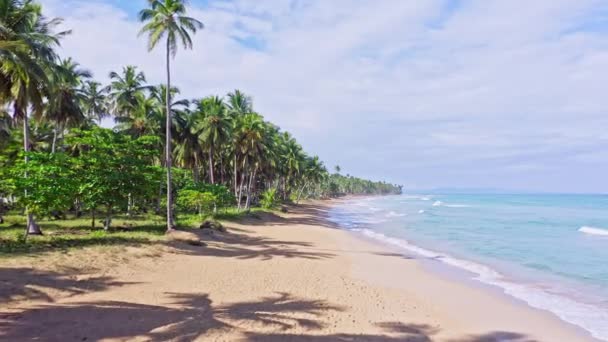 Stranden Coson Las Terrenas Dominikanska Republiken — Stockvideo