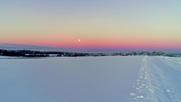 Vuelo Aéreo Suave Nevado Paisaje Invierno Iluminación Luna Llena Cielo — Vídeos de Stock