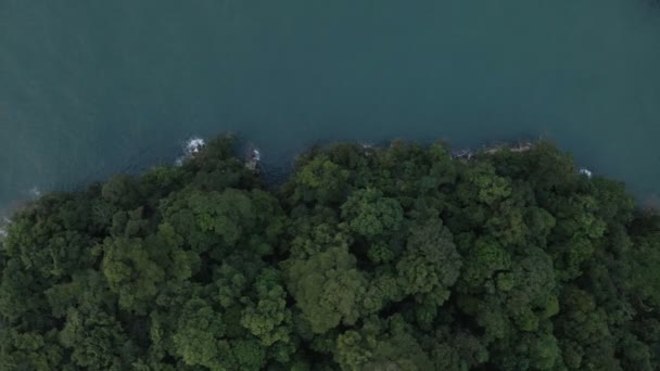 Aerial High Angle View Trucking Sideways Lush Rugged Coast Line — Stock Video