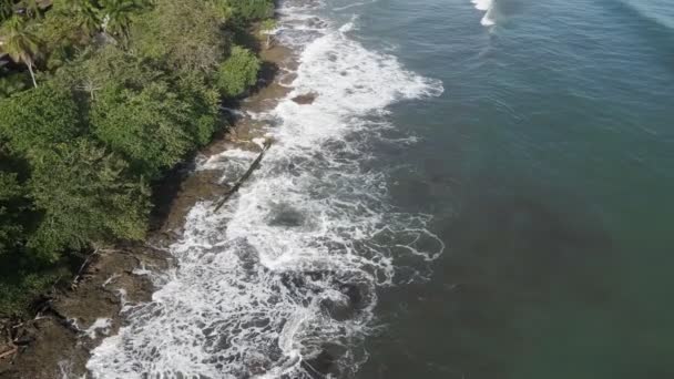 Волны Высадившиеся Острове Зелеными Деревьями Время Прилива — стоковое видео