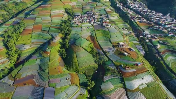 尼泊尔面包车的空中景观是一个乡村之旅的山坡上的相扑山 美丽的建筑房子在山边的农村 印度尼西亚Magelang — 图库视频影像