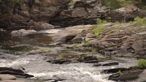 Agua Fluye Suavemente Por Río Pintoresco Tranquilo — Vídeos de Stock