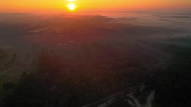 霧の風景の上に黄金のオレンジ黄色の日の出と森の上に空中 ドリー フォワード — ストック動画
