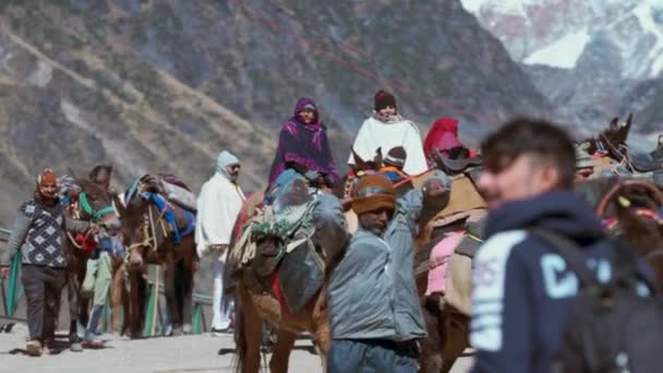 インドのウッタラーカンド州ヒマラヤ山脈にある聖ケダルナート寺院に向かう途中のラバによって運ばれたヒンズー教の巡礼者 スローモーション — ストック動画