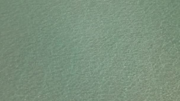 Luchtfoto Van Ondiep Groen Water Met Golven Voor Dynamische Achtergrond — Stockvideo