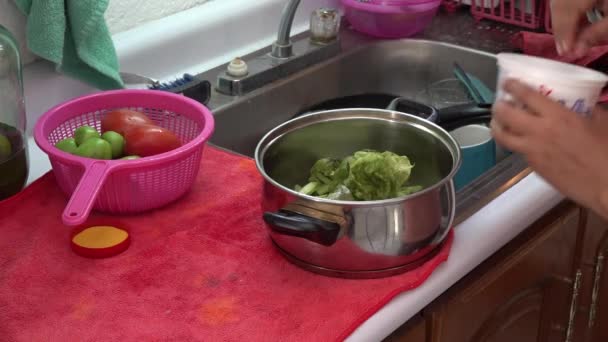 Vor Dem Kochen Gewürze Auf Nudeln Geben — Stockvideo