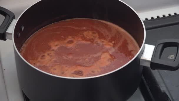 Red Sauce Boiling Pot — Stock Video