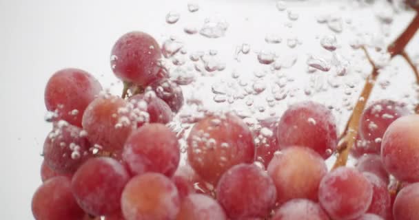 Buch Druiven Gedropt Zuiver Water Met Witte Achtergrond Stijgende Bubbels — Stockvideo