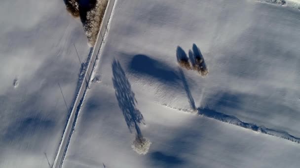 在阳光下 空中俯瞰着白雪覆盖的冬季风景 树木繁茂 道路平坦 — 图库视频影像