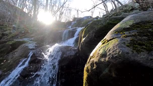 Slow Motion Waterfall Shenandoah National Park Usa — Stock video