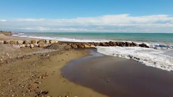 Vidéo Vol Dessus Brise Lames Sur Plage Dérangeant Quelques Mouettes — Video