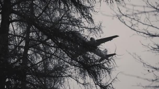 暗い木の冠を通して見られる淡い灰色の空に対する旅客機のシルエット — ストック動画