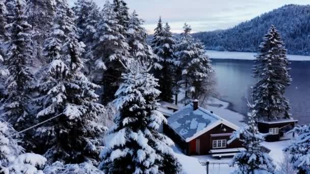 Kleine Hut Tussen Lakeshore Dennenbomen Tijdens Winter Vanuit Lucht — Stockvideo