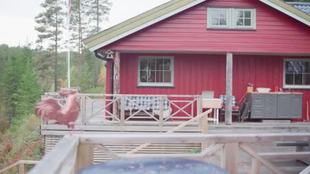 Traditional Red Cabins Mid Norway Daytime Handheld — Stock Video