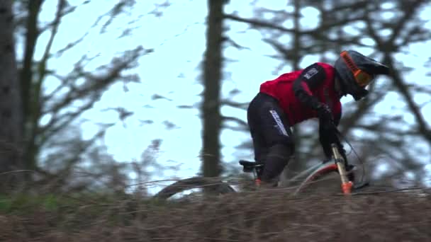 一个骑山地自行车的人在森林里慢悠悠地走着 — 图库视频影像