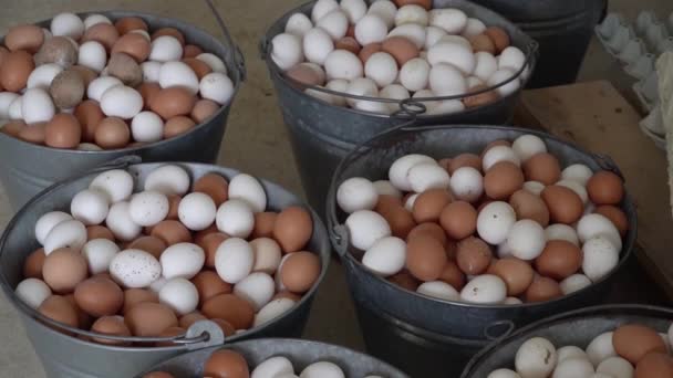 Baskets Fresh Eggs Ready Packaging Local Farm — Stock Video