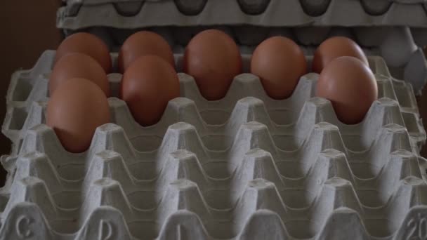 Großaufnahme Der Verpackung Von Bauernhof Frischen Eiern Eierkisten — Stockvideo